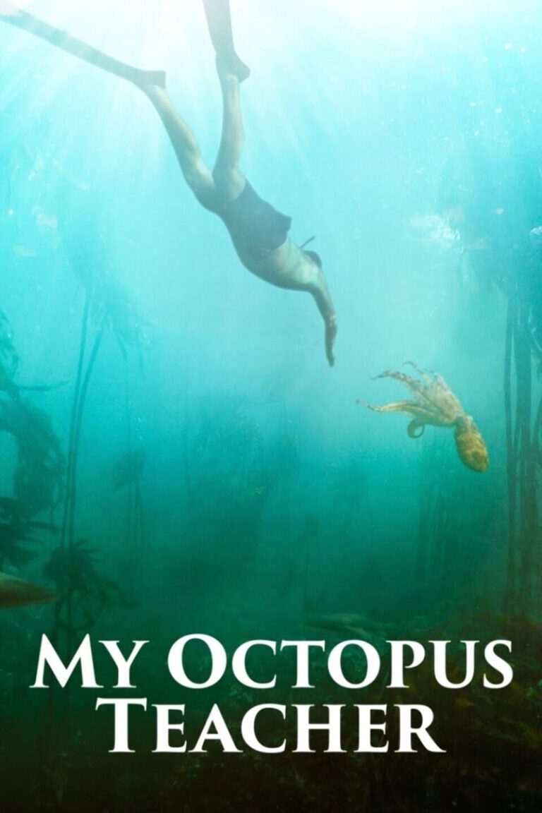 octopus